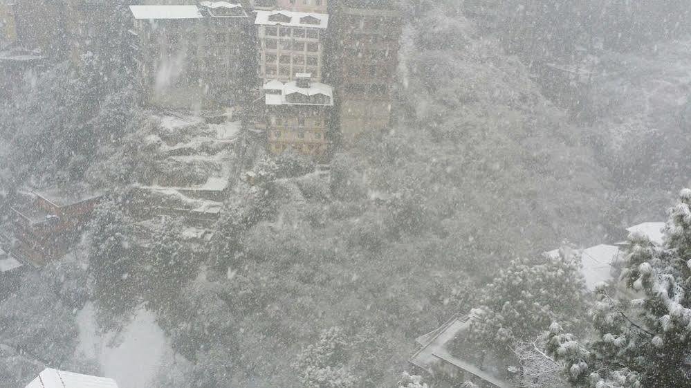 Snow Valley Resorts Shimla Eksteriør billede
